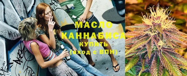 молекула духа Белая Холуница