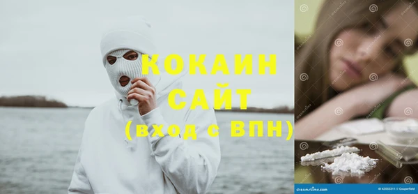 спиды Богородск