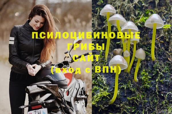 молекула духа Белая Холуница