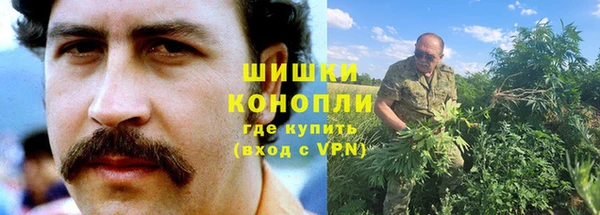 ПСИЛОЦИБИНОВЫЕ ГРИБЫ Бабаево