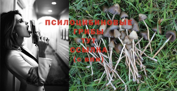 стаф Ахтубинск